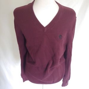 Express Maroon Wine V Neck Sweater